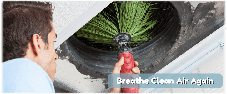 Air Duct Mold Removal in WPB
