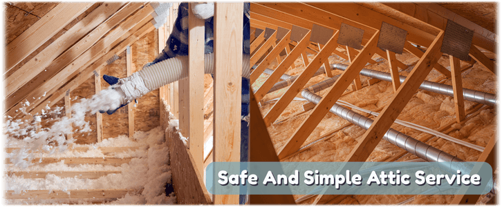 Attic Cleaning WPB